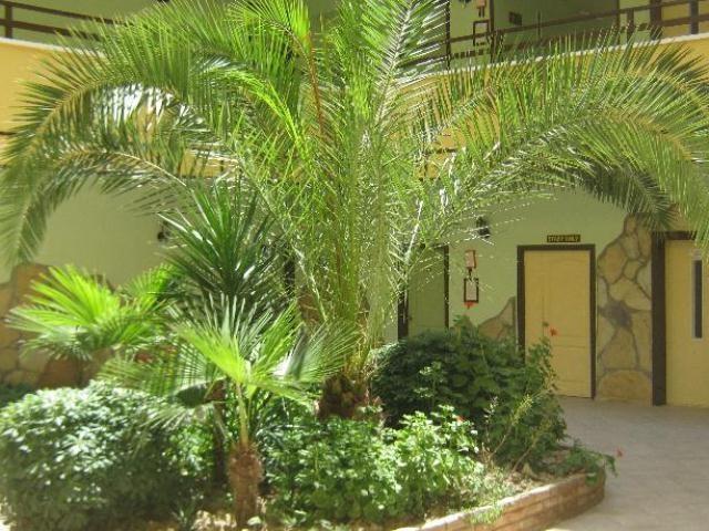 Oya Apartments Kusadasi Exterior photo